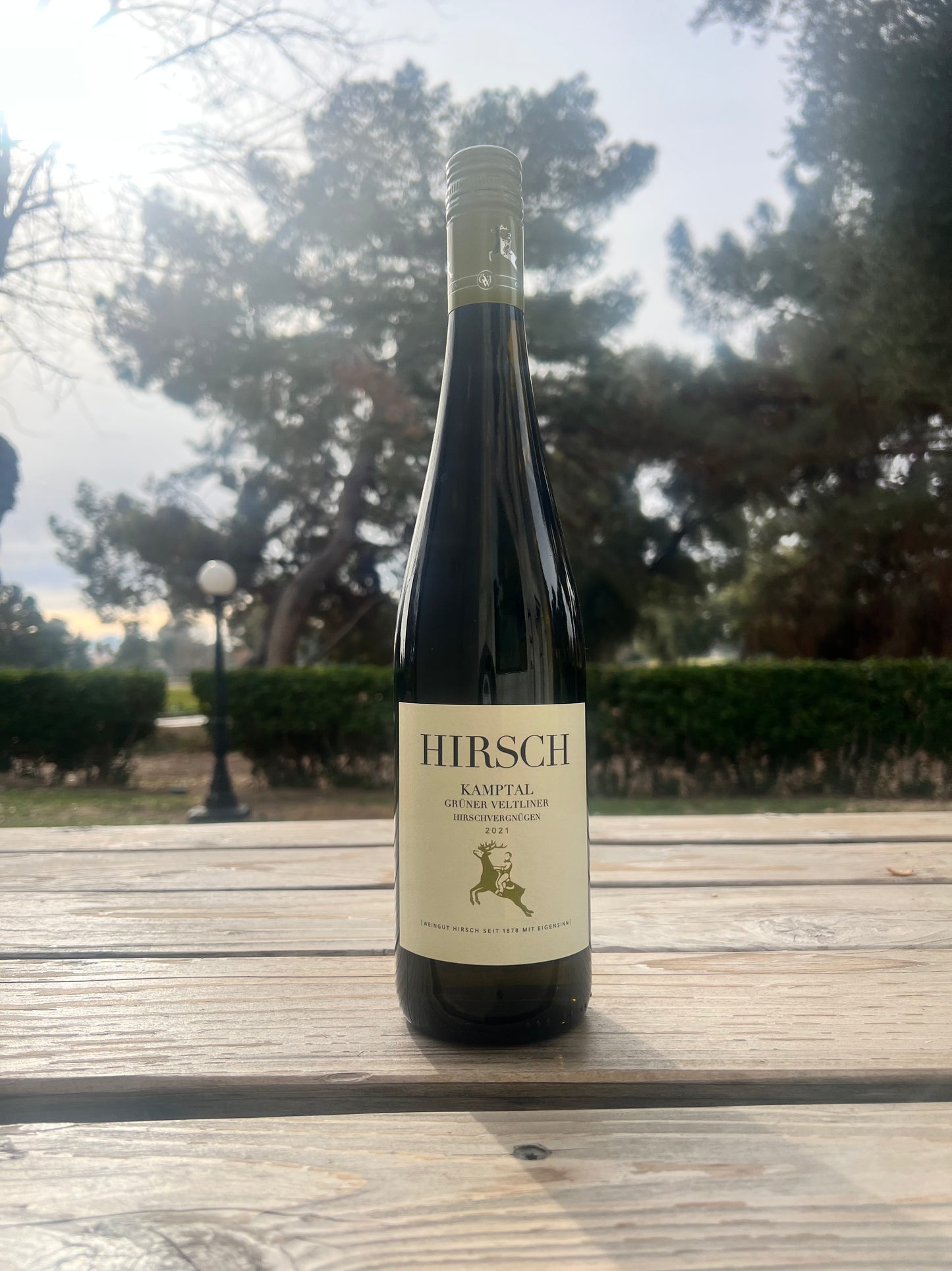 Hirsch "Hirschvergnügen" Grüner Veltliner Kamptal, Austria 2021