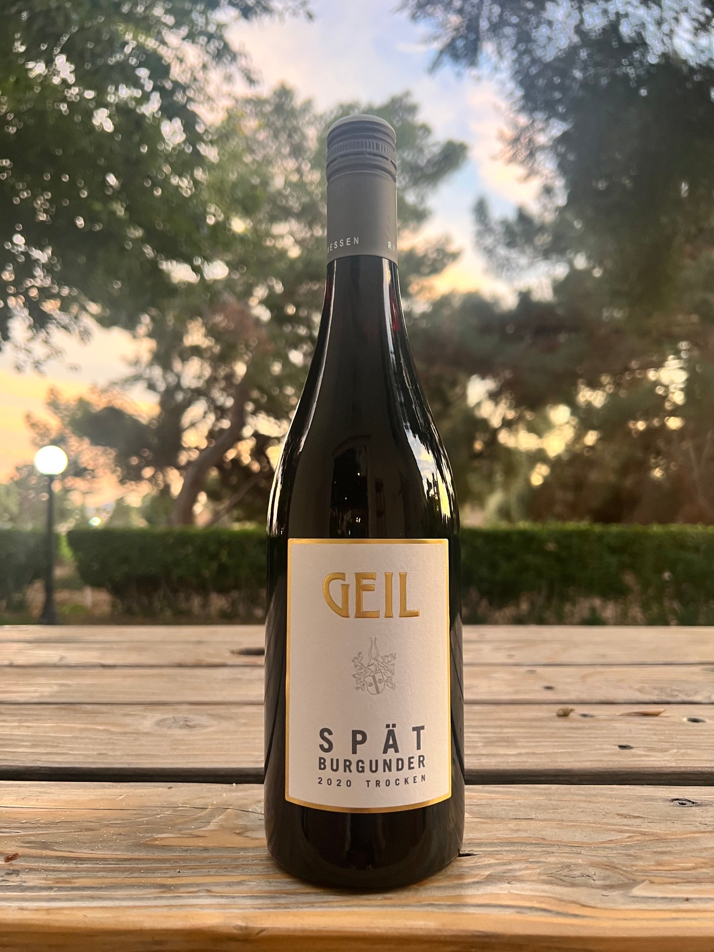 Geil Spätburgunder Trocken Rheinhessen, Germany 2020