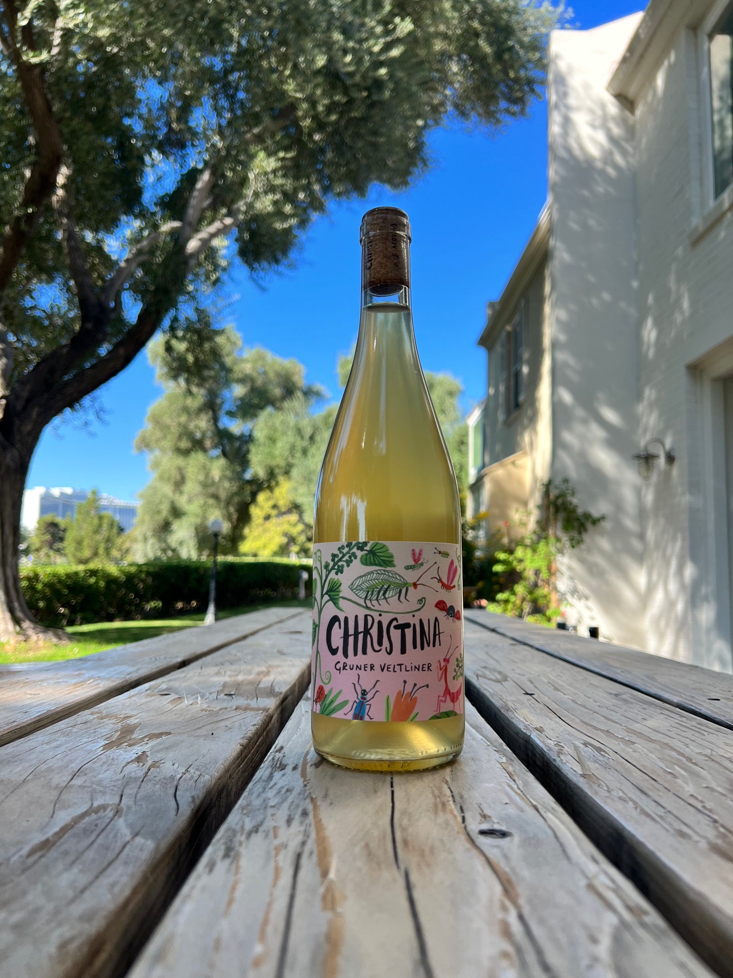 Christina Grüner Veltliner Carnuntum, Austria 2023