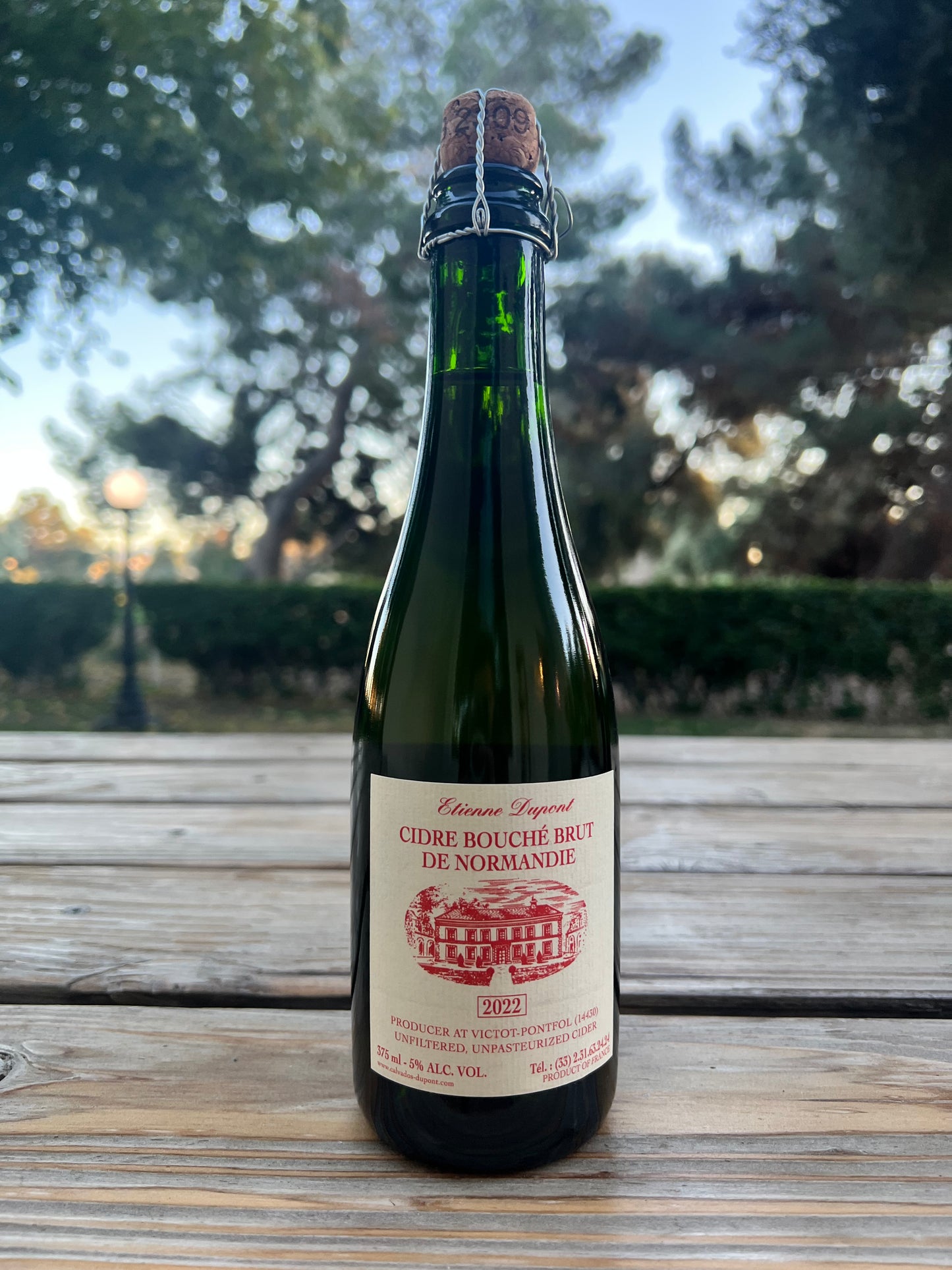 Etienne Dupont Cidre Bouché Brut de Normandie, France 2022 (375 ml)