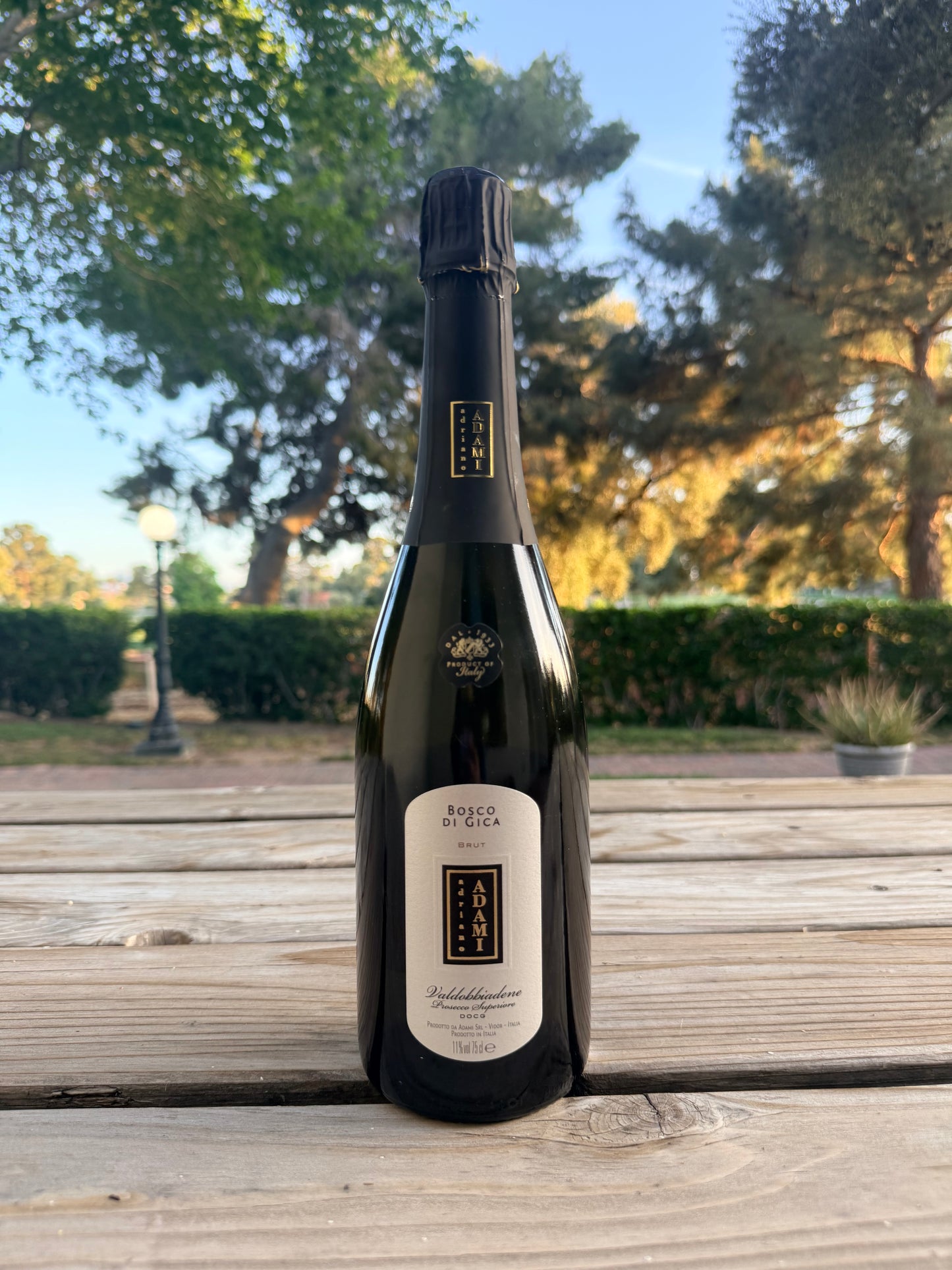 Adami 'Bosco di Gica' Brut Valdobbiadene Prosecco Superiore, Veneto, Italy NV