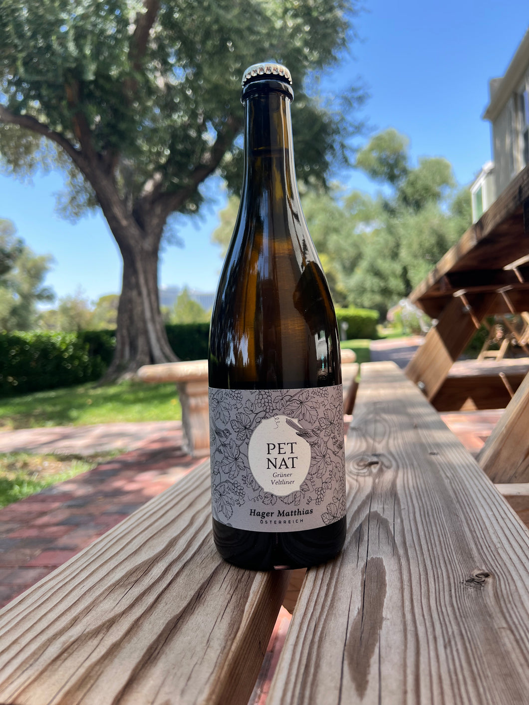 Hager Matthias 'Pet Nat' Grüner Veltliner, Austria 2020