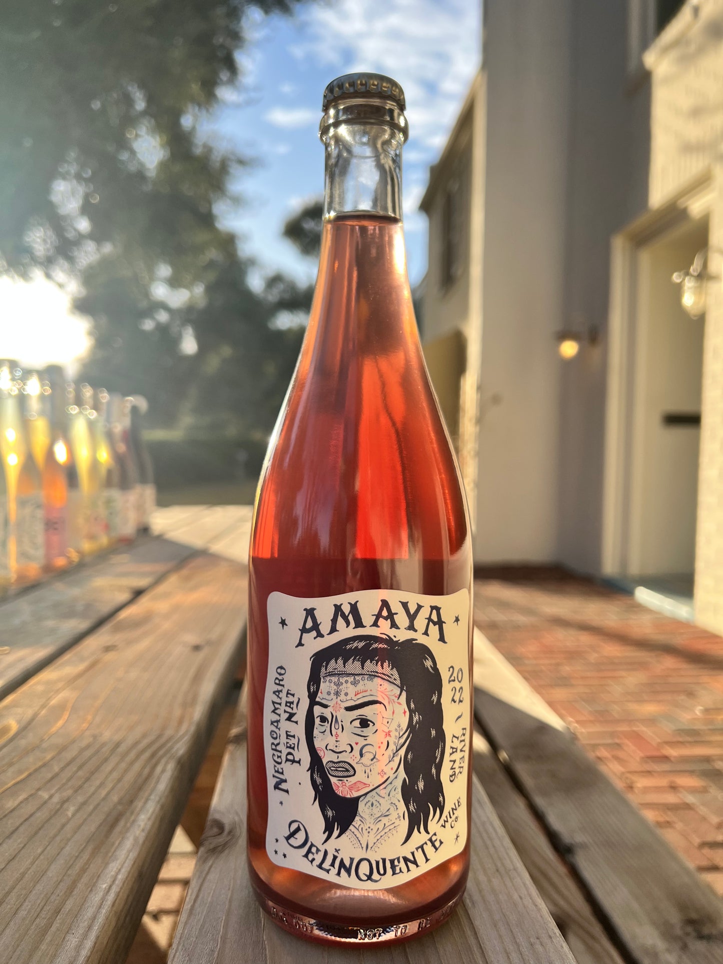 Delinquente Wine Co. 'Amaya' Negroamaro' Pet-Nat Riverland, Australia 2022