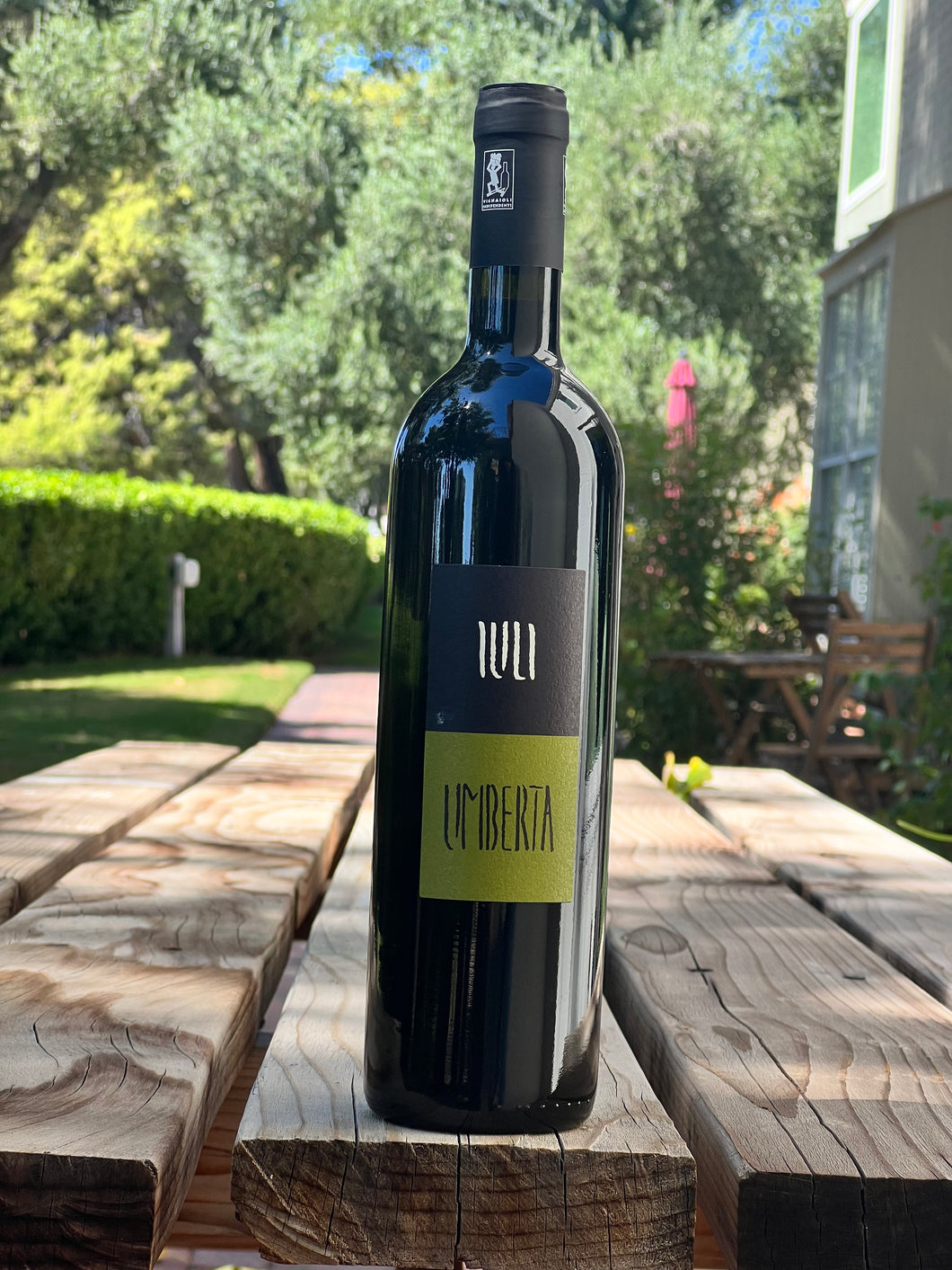 Luli 'Umberta' Barbera Piedmont, Italy 2020